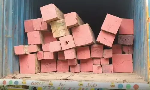 Container loaded with smuggling Burmese Teak seized Container loaded with smuggling Burmese Teak seized