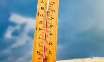 Assam braces for sweltering weather, Relief expected with Monsoon from June 13 Assam braces for sweltering weather, Relief expected with Monsoon from June 13
