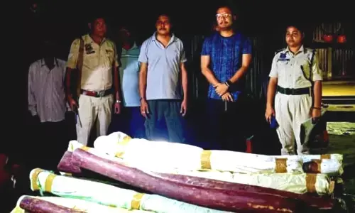 Gossaigaon police seize ₹1 crore worth of red Sandalwood Gossaigaon police seize ₹1 crore worth of red Sandalwood