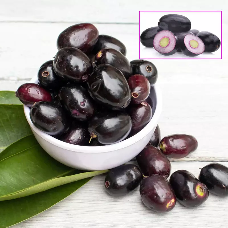 Astounding Health Benefits of Jamun (Syzygium cumini) Astounding Health Benefits of Jamun (Syzygium cumini)