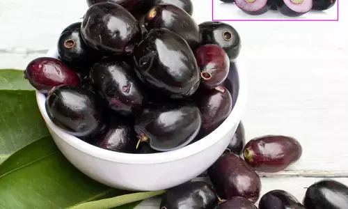 Astounding Health Benefits of Jamun (Syzygium cumini) Astounding Health Benefits of Jamun (Syzygium cumini)