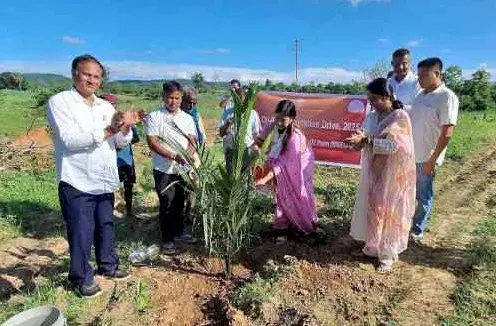Mega Oil Palm Plantation Drive Launched in Dima Hasao Mega Oil Palm Plantation Drive Launched in Dima Hasao