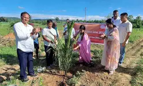 Mega Oil Palm Plantation Drive Launched in Dima Hasao Mega Oil Palm Plantation Drive Launched in Dima Hasao