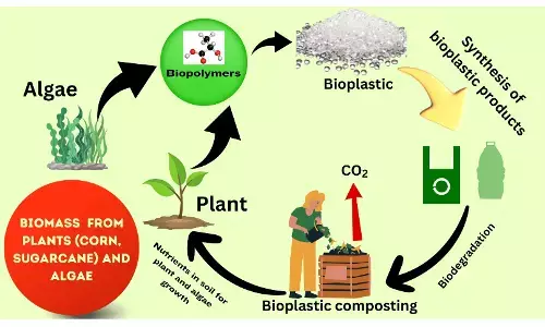 Plastic poison dissolves in the environment Plastic poison dissolves in the environment
