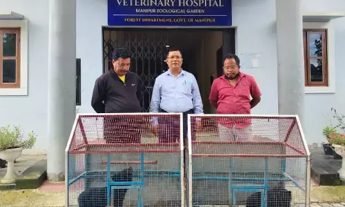 Bear conservation drive held in Manipur Bear conservation drive held in Manipur
