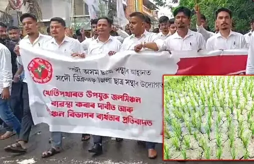 Nagaon AASU protests over irrigation demands at Nagaon Nagaon AASU protests over irrigation demands at Nagaon