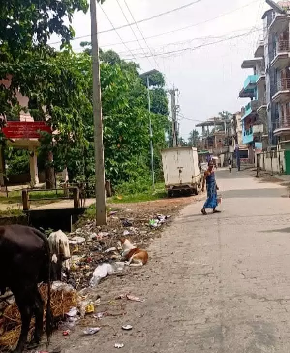 Silchar Municipal Corporation Cracks Down on Illegal Waste Dumping Silchar Municipal Corporation Cracks Down on Illegal Waste Dumping